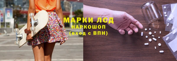 a pvp Аркадак