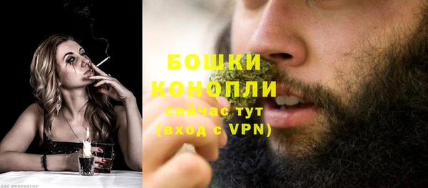 a pvp Аркадак