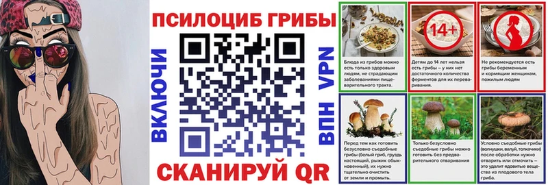 Псилоцибиновые грибы Psilocybine cubensis  магазин  наркотиков  Белозерск 